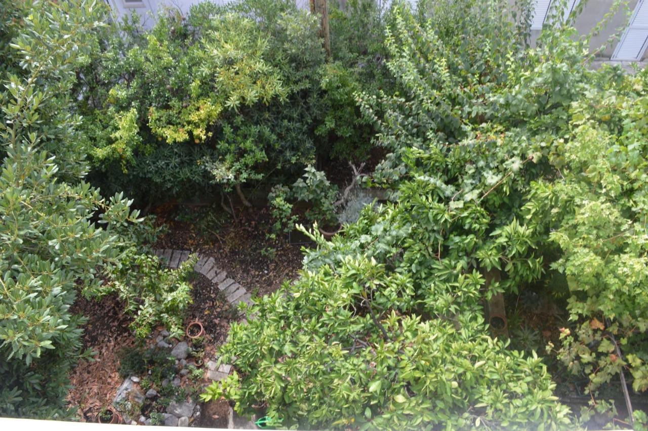 Apartments with a parking space Makarska - 11361 Bagian luar foto